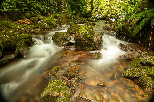 Agua Oxidada+ Imágenes como esta con el denominado "efecto seda" en el nacedero del río Zirauntza (Araia) hacen que sea una apasionado de la fotografía de "larga exposición". De la pared de esta poza brota agua con hierro.